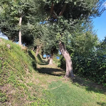 Le Terrazze Del Garda - Immobili E Soluzioni Rent 3* Manerba del Garda